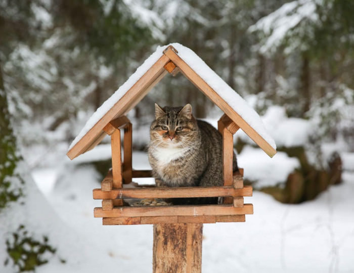 Внешний вид и территория - Санаторий «Виктория» Пушкино