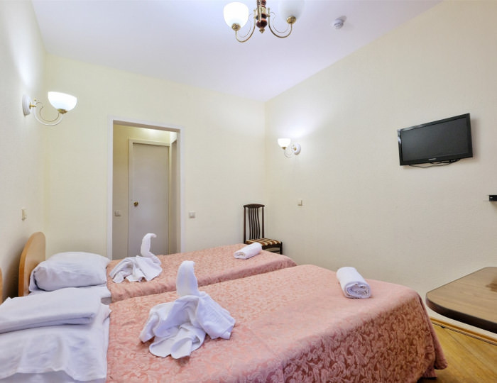 2-местный эконом - Санаторий «Виктория» Пушкино